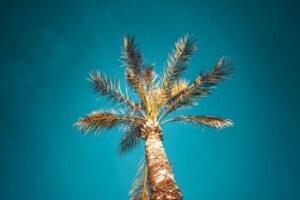 Navigating Lowe’s Home Improvement in Adrian: Your Practical Blueprint for Project Success