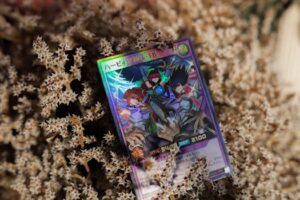 Euclid, OH Renters Insurance: Because Your Landlord’s Policy Doesn’t Cover Your Stuff (Or Your Nacho Fires)