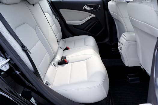 Beyond the Click: What Every Texan Needs to Know About Seat Belt Laws