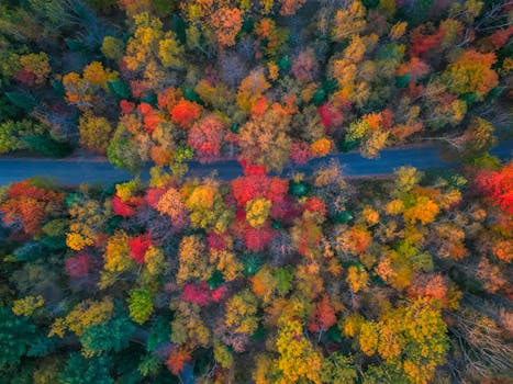 Beyond the Bed: Unpacking the Essence of What is a Lifestyle Hotel