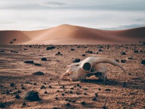 Unlocking the Meaning of a “Health SOS”: More Than Just an Emergency Call