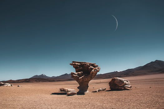 Navigating Learning Landscapes: What You Really Need to Know About Education in Bolivia