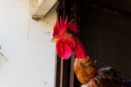 Peeling Back the Layers: What You Really Need to Know About Home Improvement