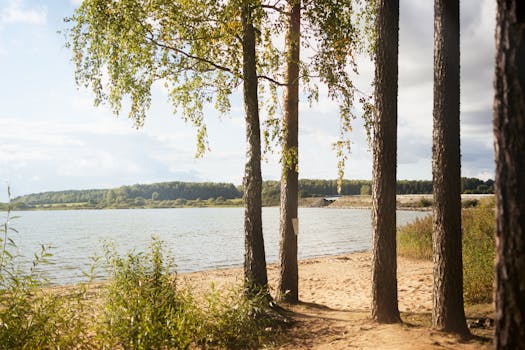 Navigating the Evolving Landscape of Emeriti Retirement Health