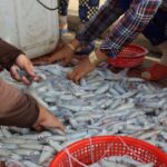 Unearth Your Next Outdoor Lifestyle Hit: The Strategic Trade Show Approach